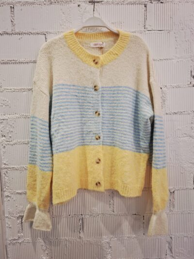 Home Chaqueta beige a rayas azul pastel y amarillas